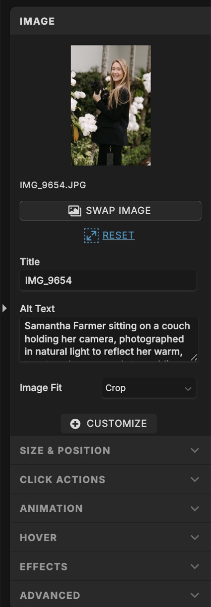 Showit Image panel showing Image Title and Alt Text fields